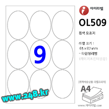 아이라벨 CL509 (타원형 9칸) [100매/권] 65x87mm 흰색모조