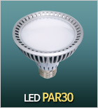 LED PAR30