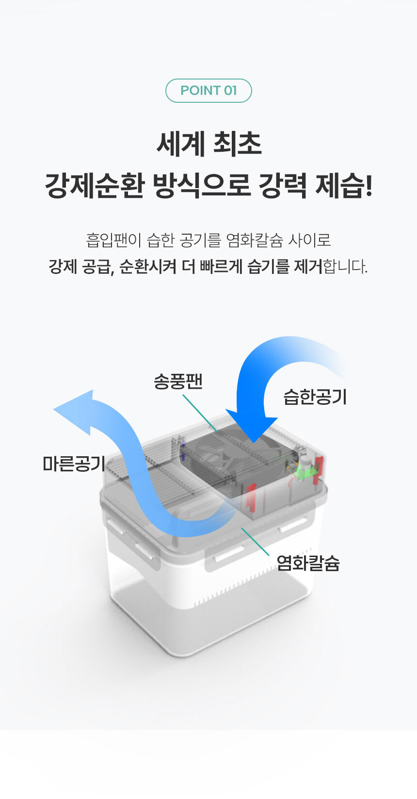01_point_01.jpg