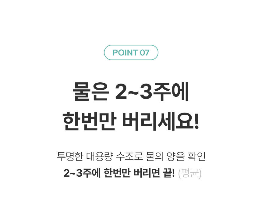 07_point_01.jpg
