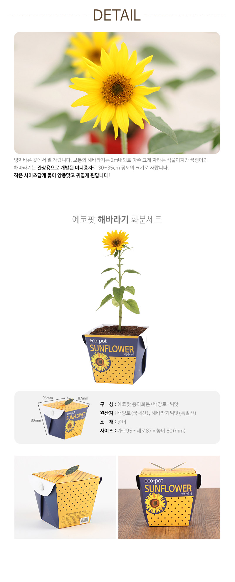 ecopot-sunflower_02.jpg
