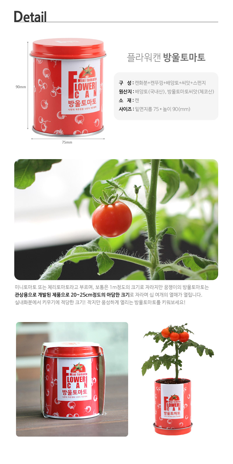 flowercan-cherry-tomato_02.jpg