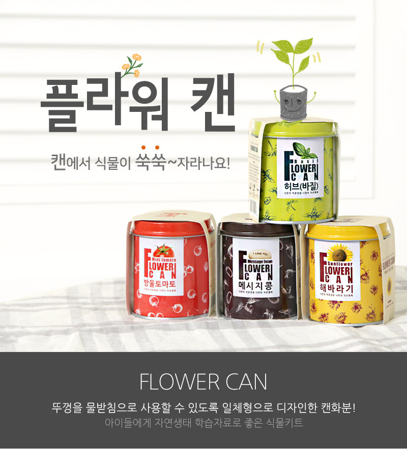 flowercan-sunflower_01.jpg