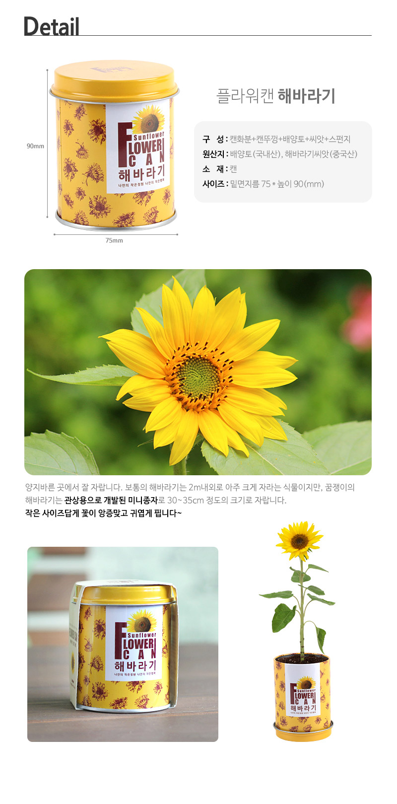 flowercan-sunflower_02.jpg