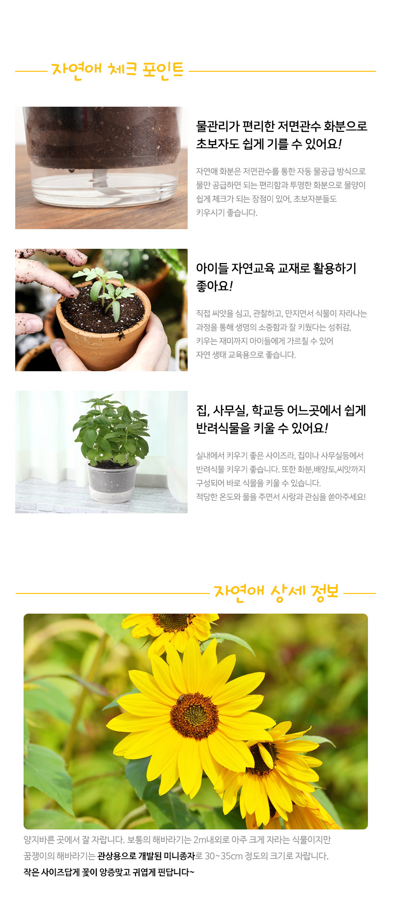 mygarden_sunflower_02.jpg