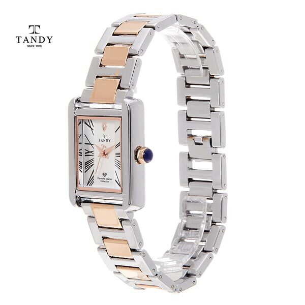 [TANDY] 탠디 다이아몬드 고급메탈 손목시계 T-3912 M Combi (콤비남성메탈)