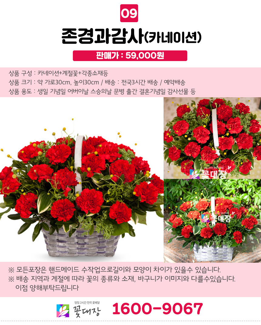 어버이날 스승의날 생화 카네이션 꽃바구니...