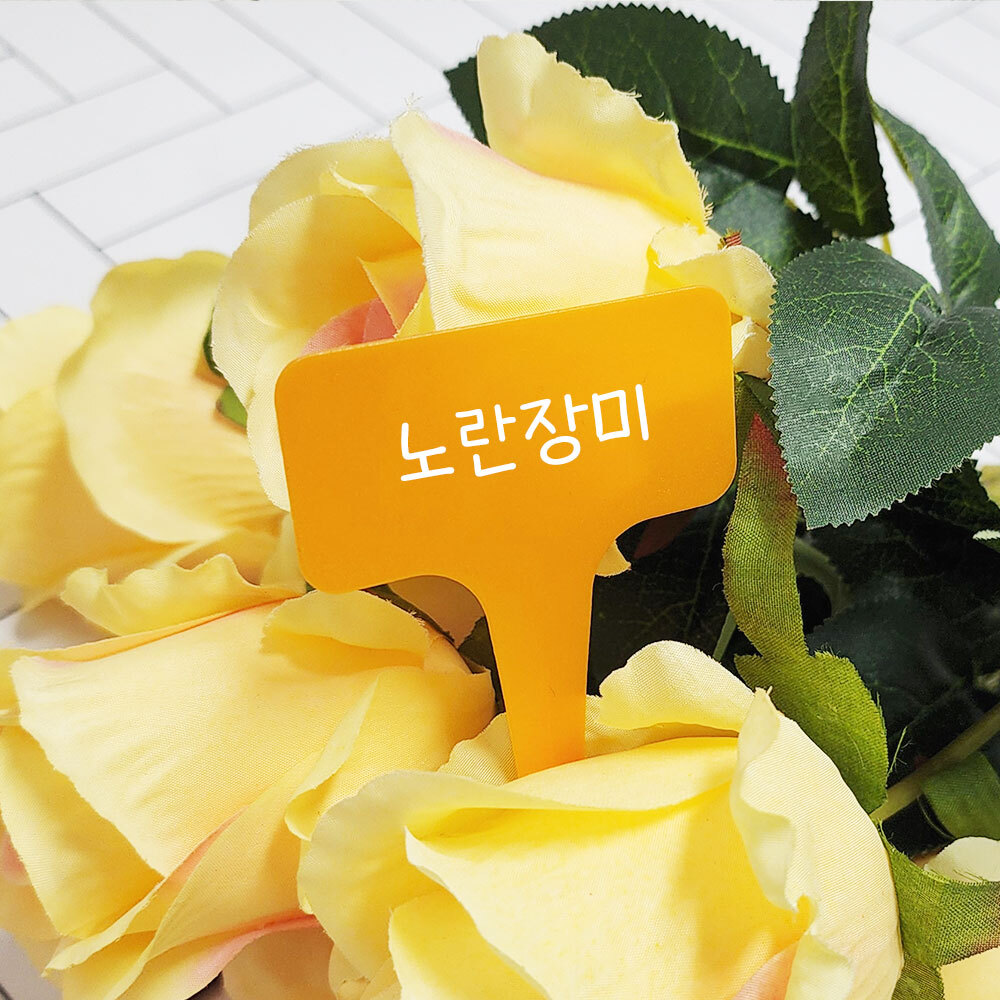 식물종류이름표 식물이름표추가구매 정원이름표 식물정보태그 식물명팻말 식물이름팻말 원예용이름표 식물이름표세트 식물정보표지판 식물이름표붙이기 식물 컬러 이름표 대 식물이름표