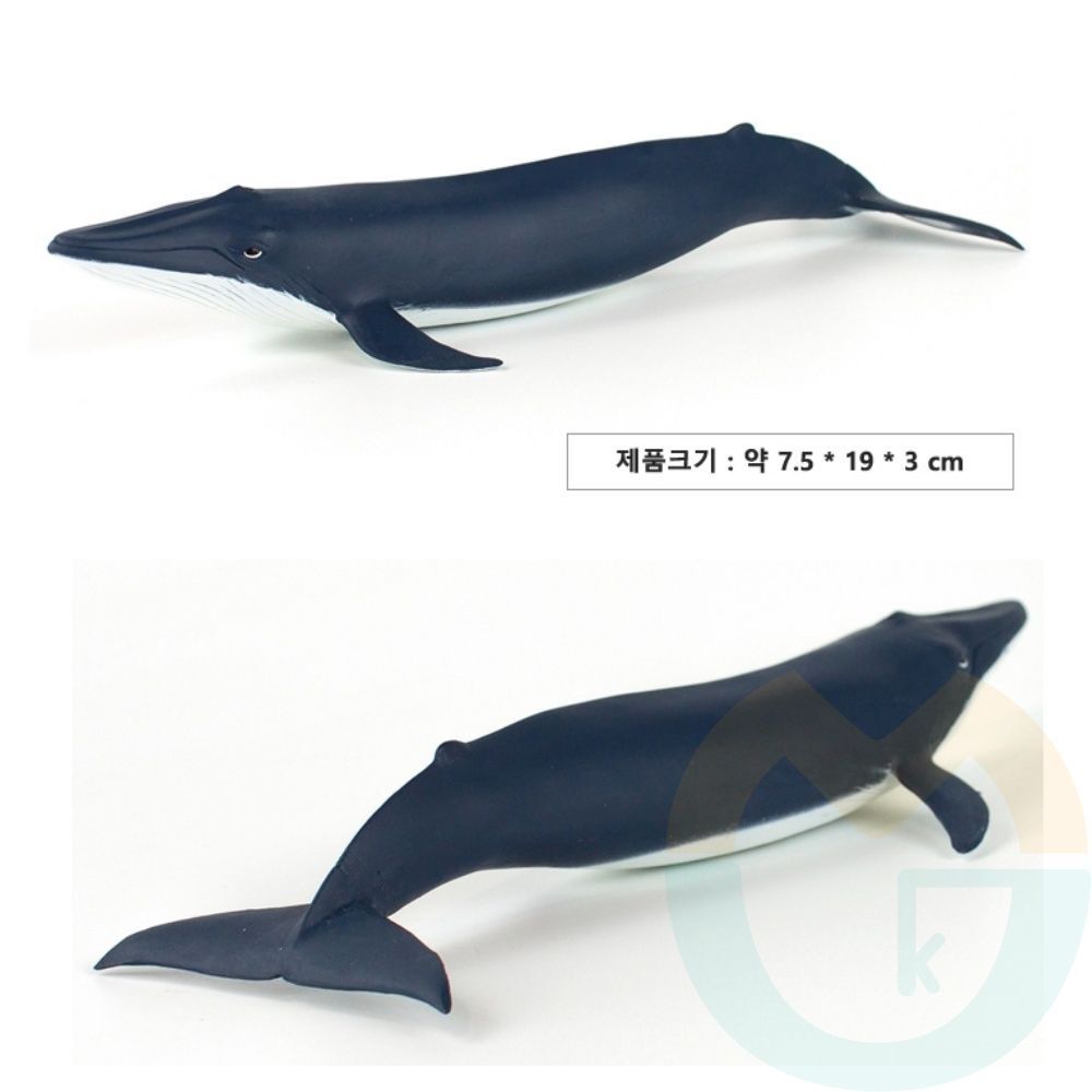 굿마켓 모형완구 피규어 아기 흰긴수염고래 실물피규어