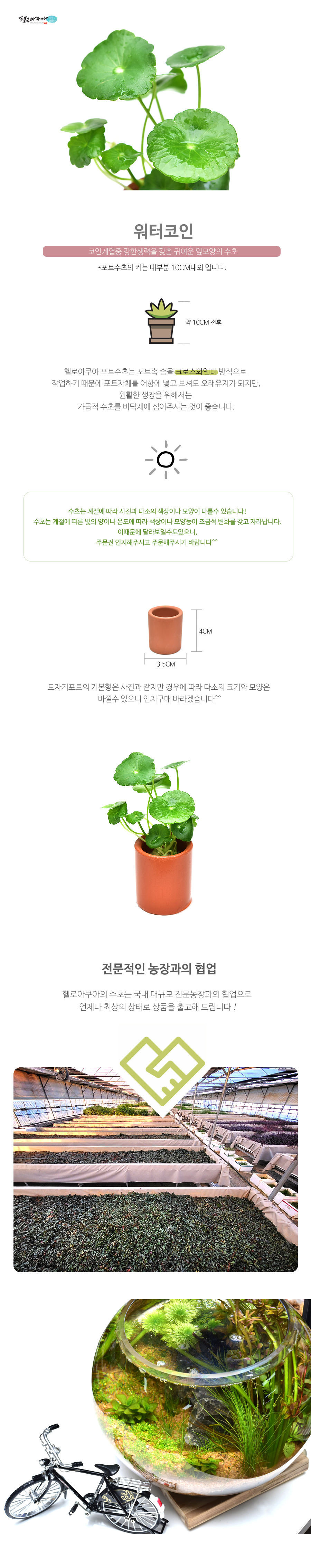 헬로아쿠아 열대어수족관 본점