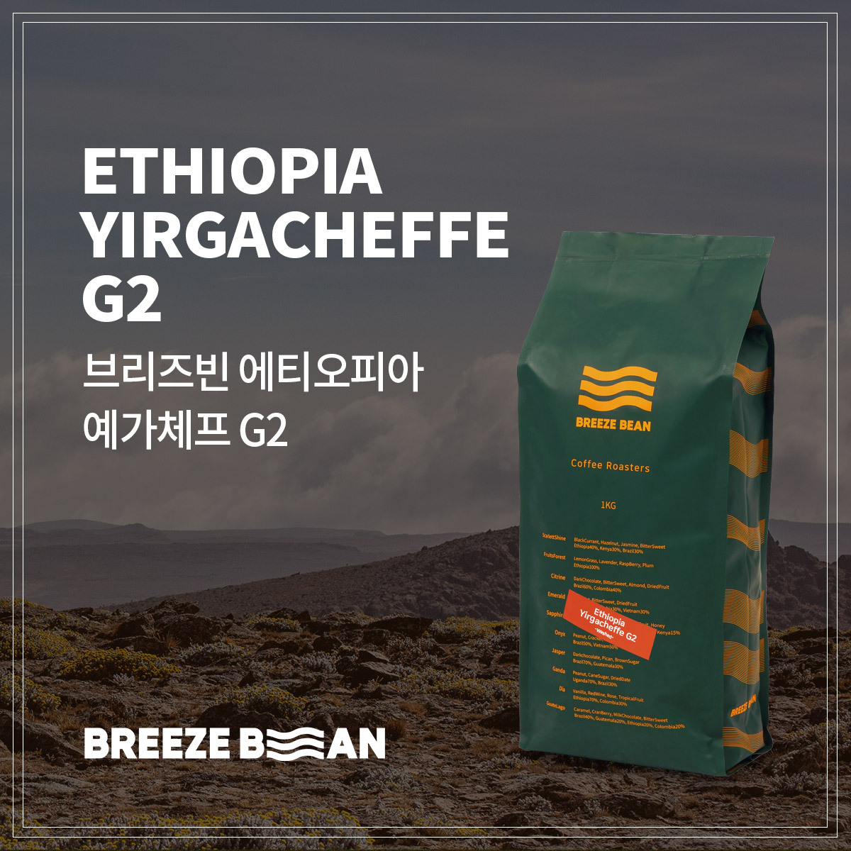 브리즈빈 에티오피아 예가체프 G2 싱글원두 500g/1kg