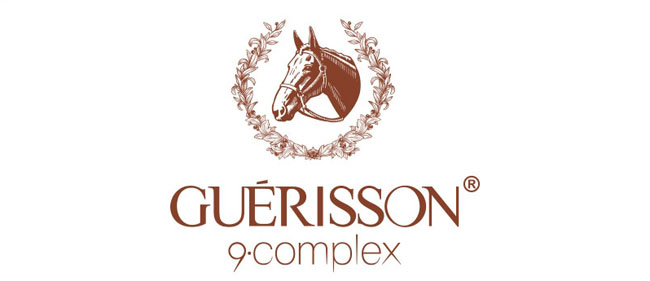 Image result for Guerisson logo