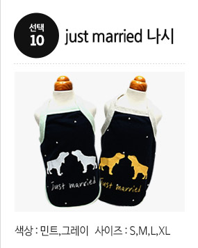 NEW DOG FASHION Puppy Pet Limited Specials Puppy C