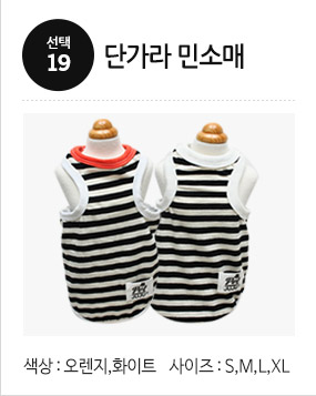 NEW DOG FASHION Puppy Pet Limited Specials Puppy C