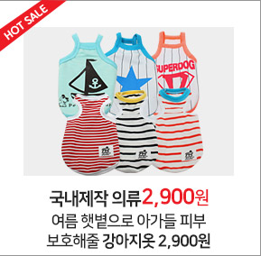 Songpyeong Pet Pad King Dog 400 Superspeed Dog