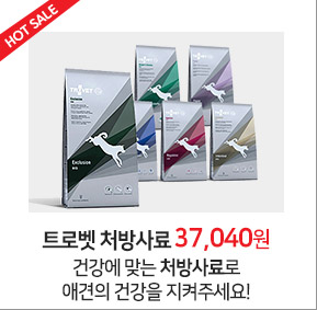 Songpyeong Pet Pad King Dog 400 Superspeed Dog