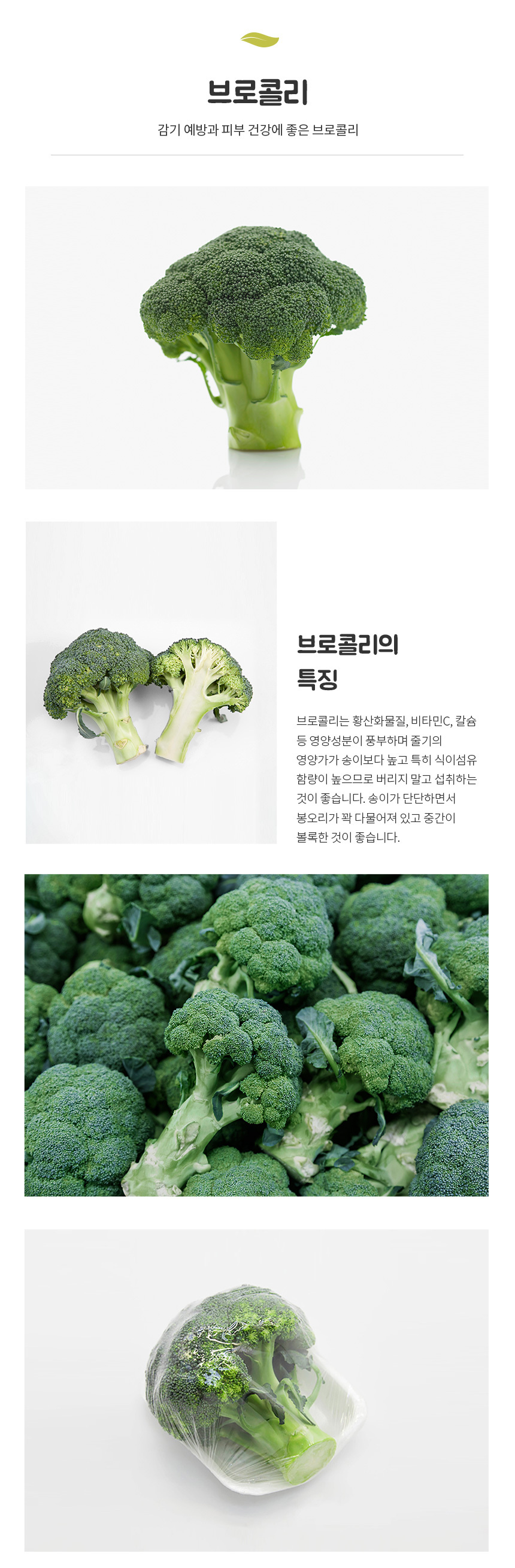 01_broccoli.jpg