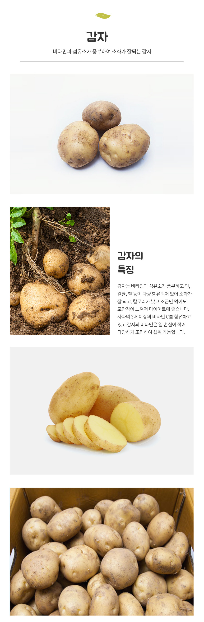 01_potato.jpg