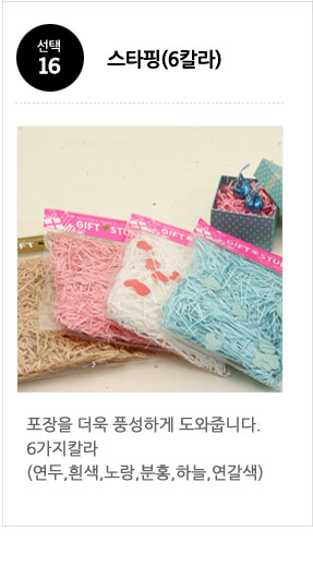 스타핑6칼라
