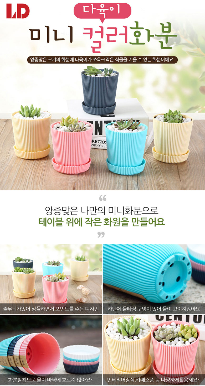 도매꾹 :: 대한민국1위 돈버는 쇼핑 - 도매꾹 [도매꾹] 다육이 미니 컬러 화분