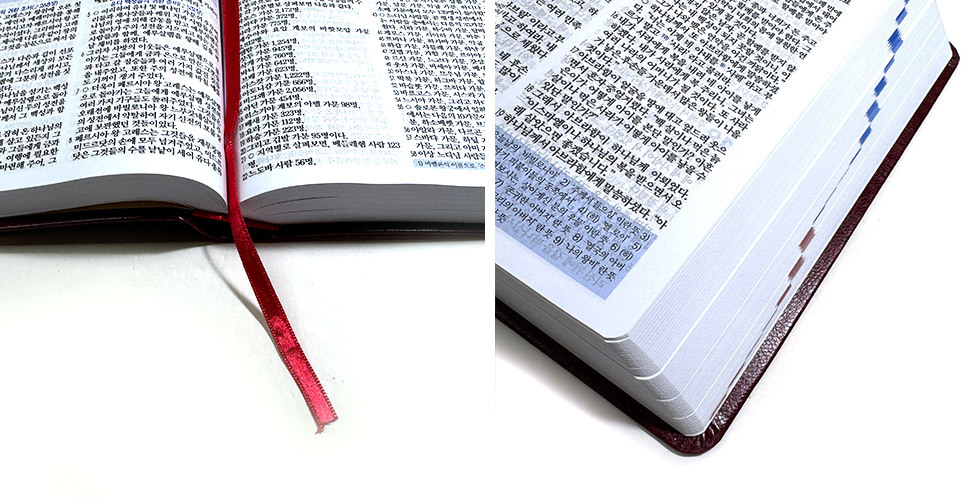 성경 크기 비교 제목란