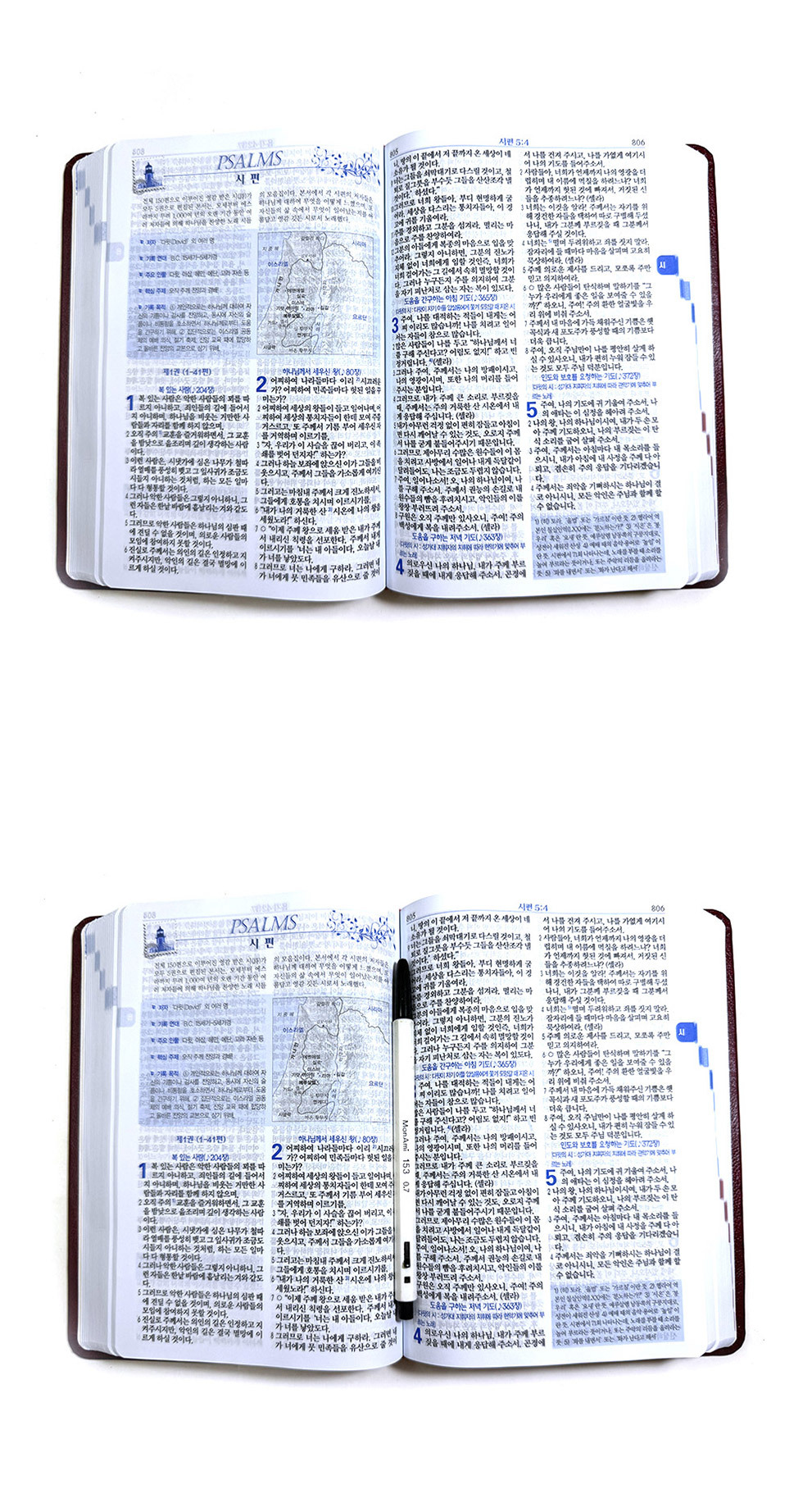 성경 크기 비교 제목란