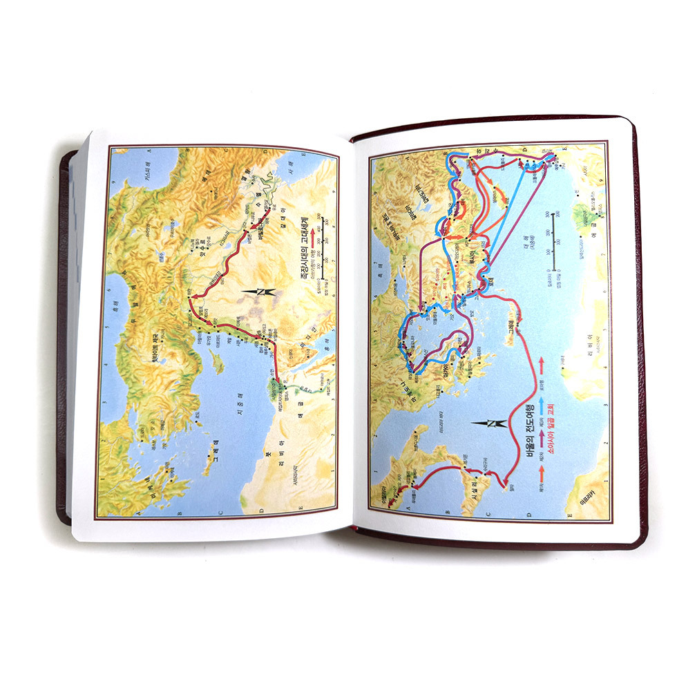 성경 크기 비교 제목란