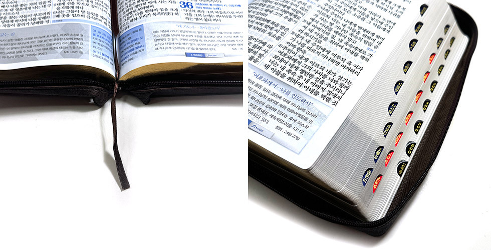 성경 크기 비교 제목란