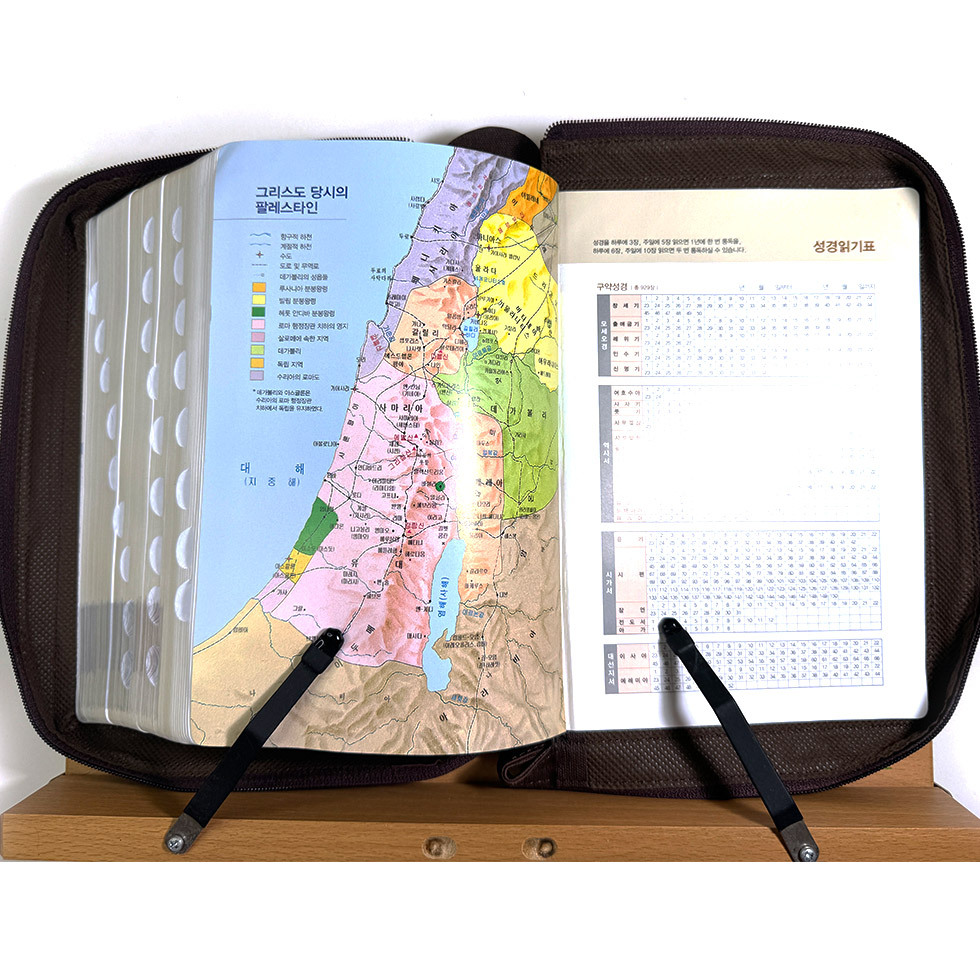 성경 크기 비교 제목란