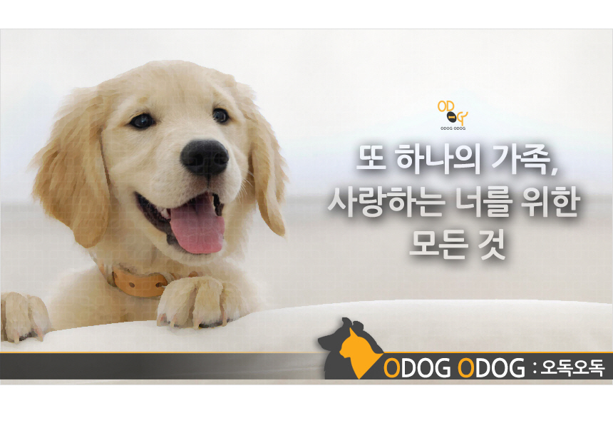 Belved Dog Pads Collection Pure Excellent Large an