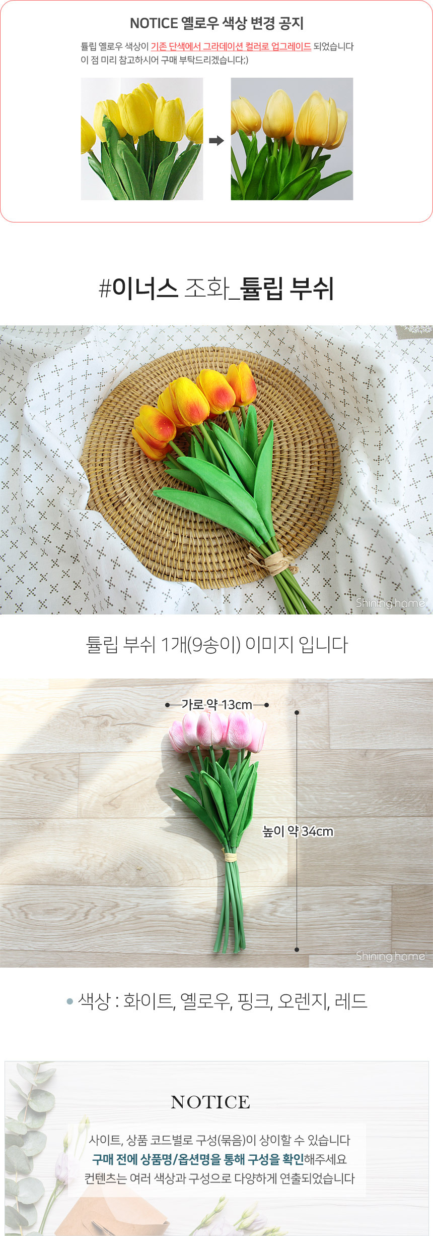 inus_flower_tulip_01.jpg