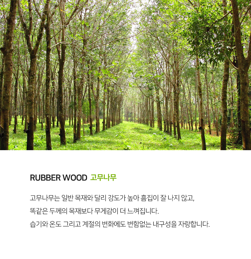 라로퍼니처 아몬드 원목 식탁 의자 카페 인테리어 상세 이미지 4