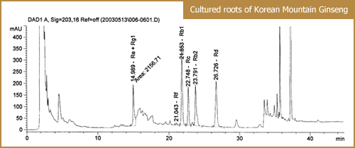 Pure Extracts Of Cultured Roots Of Korean Mountain Ginseng