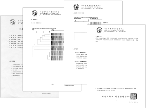 Pure Extracts Of Cultured Roots Of Korean Mountain Ginseng