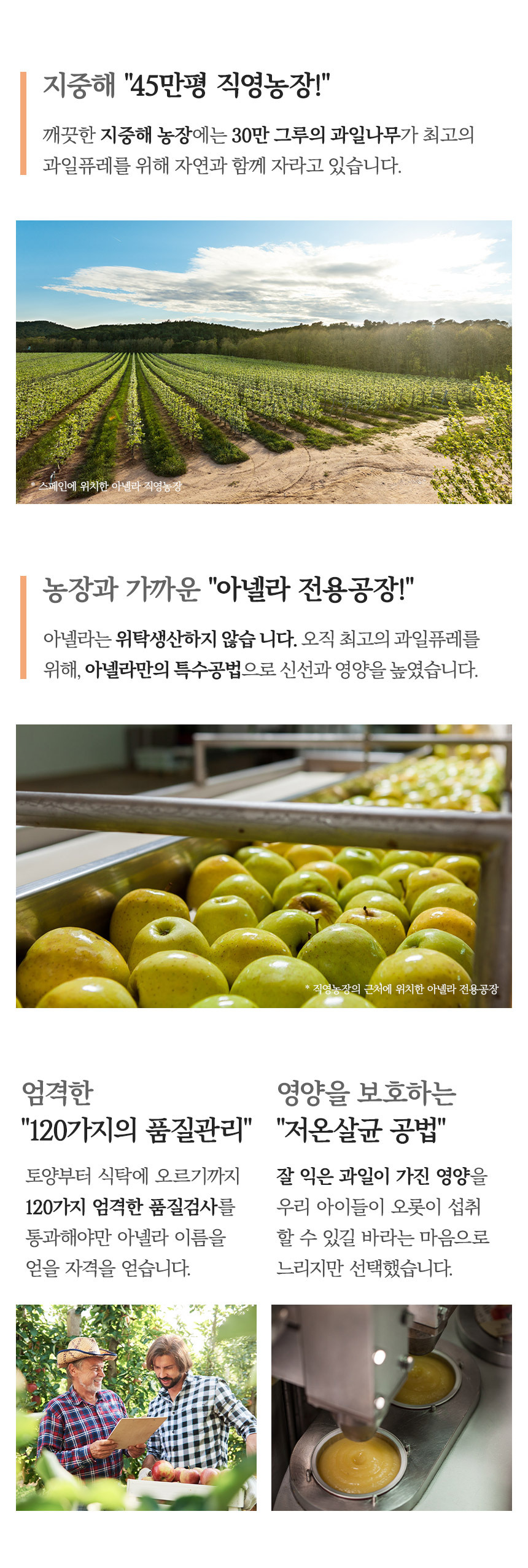 아넬라 떠짜세트 디테일4