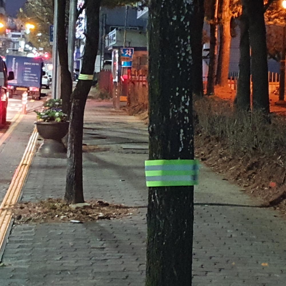 골프자세교정기 주장암밴드 골프자세교정도구 세이프티스트랩 토시 형광반사스트랩 런닝파우치 암밴드스트랩 운동암밴드 핸드폰소지품 휴대폰암밴드 그린 반사스트랩 형광 세이프티 두줄 암밴드