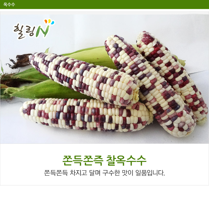 susu_1.jpg