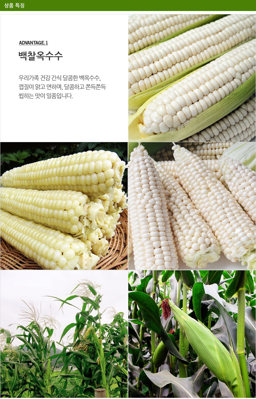 susu_5.jpg