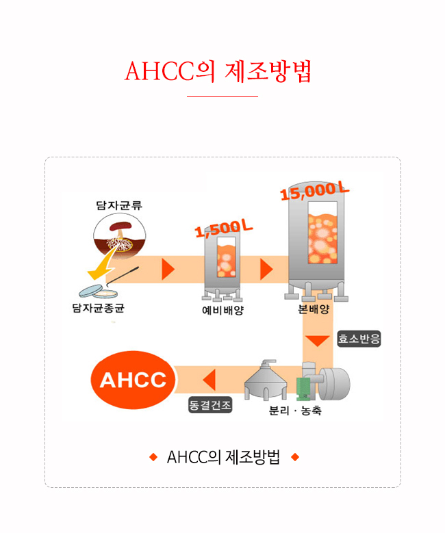 표고버섯 균사체 AHCC 알파 베타글루칸 NK 매크로파지 면역기능 증진을 위한 선택 9