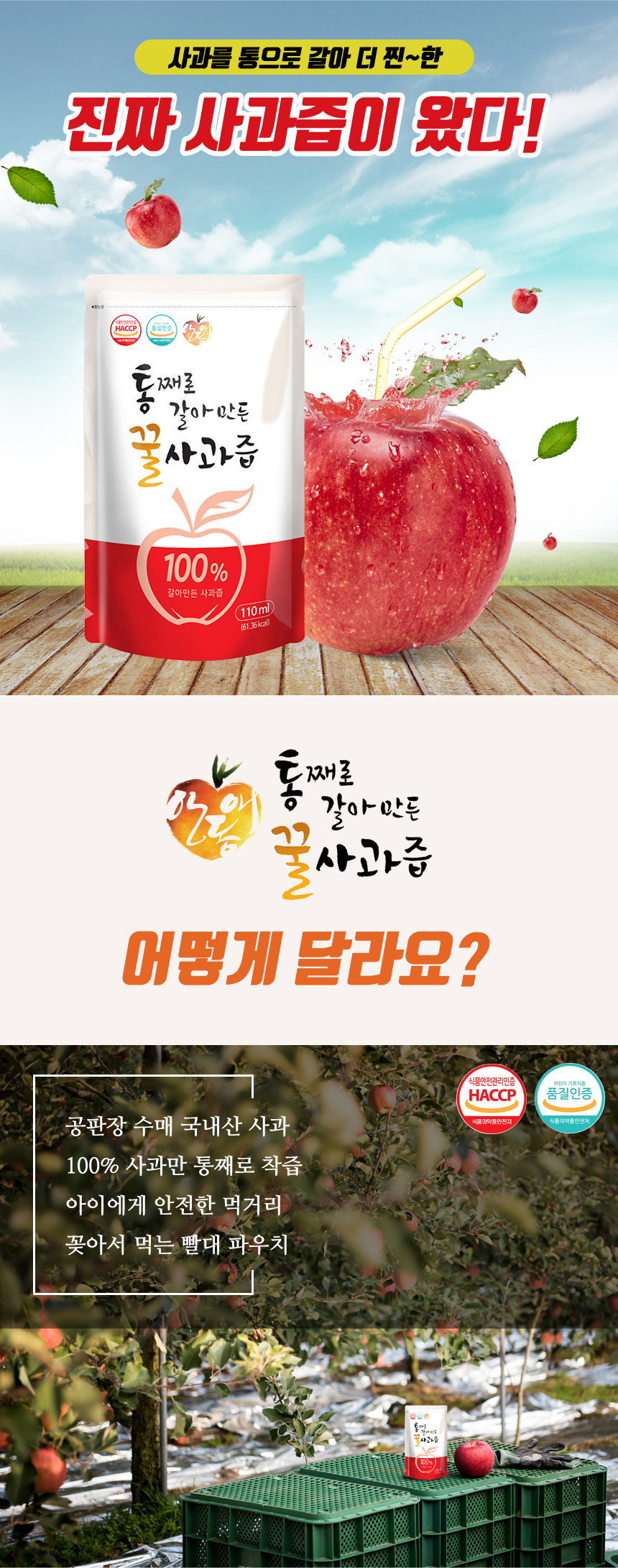andongae_apple.jpg