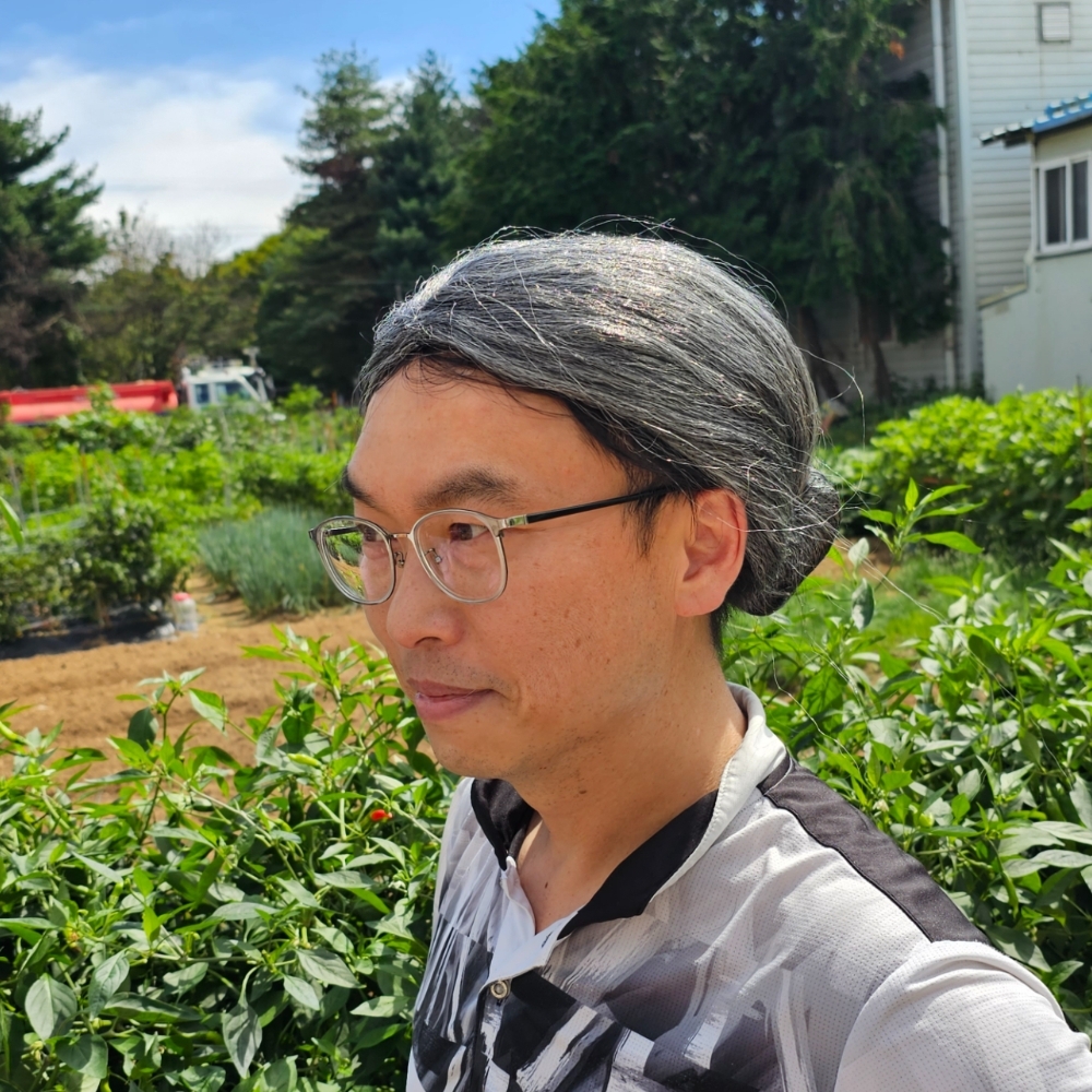 자연색가발 긴금발가발 빨간머리가발 밝은갈색곱슬똥머리가발 모발모델 빨간색웨이브가발 스테이지가발 탈모용가발 헤어피스타치오 코디네이트망사 합성스킨 헤어모델 할머니 쪽진머리 가발