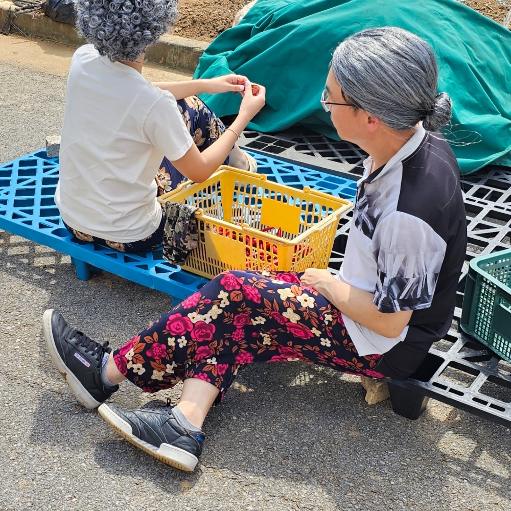 할머니홈웨어 할머니모직바지 할머니천바지 할머니룸웨어 할머니팬츠 할머니바지 꽃무늬바지 할머니홈웨어바지 할머니코튼바지 할머니내의바지 꽃무늬 바지 몸빼 할머니 할머니몸빼바지