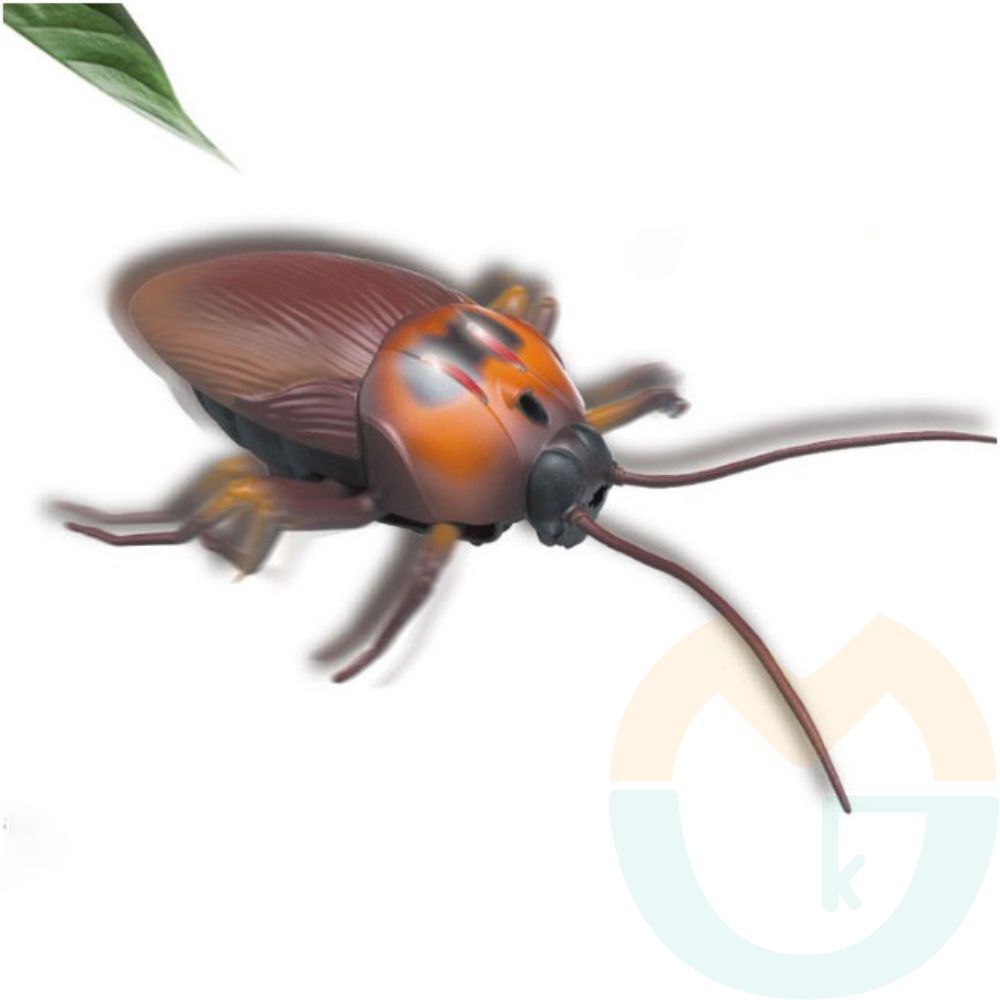 굿마켓 바퀴벌레 감지센서 로취 움직이는바퀴벌레