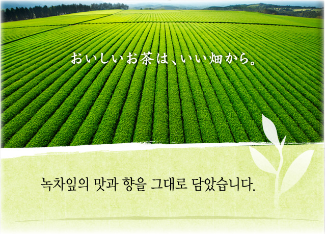 이토엔 오이오차 분말 스틱형 100개입 x 2박스