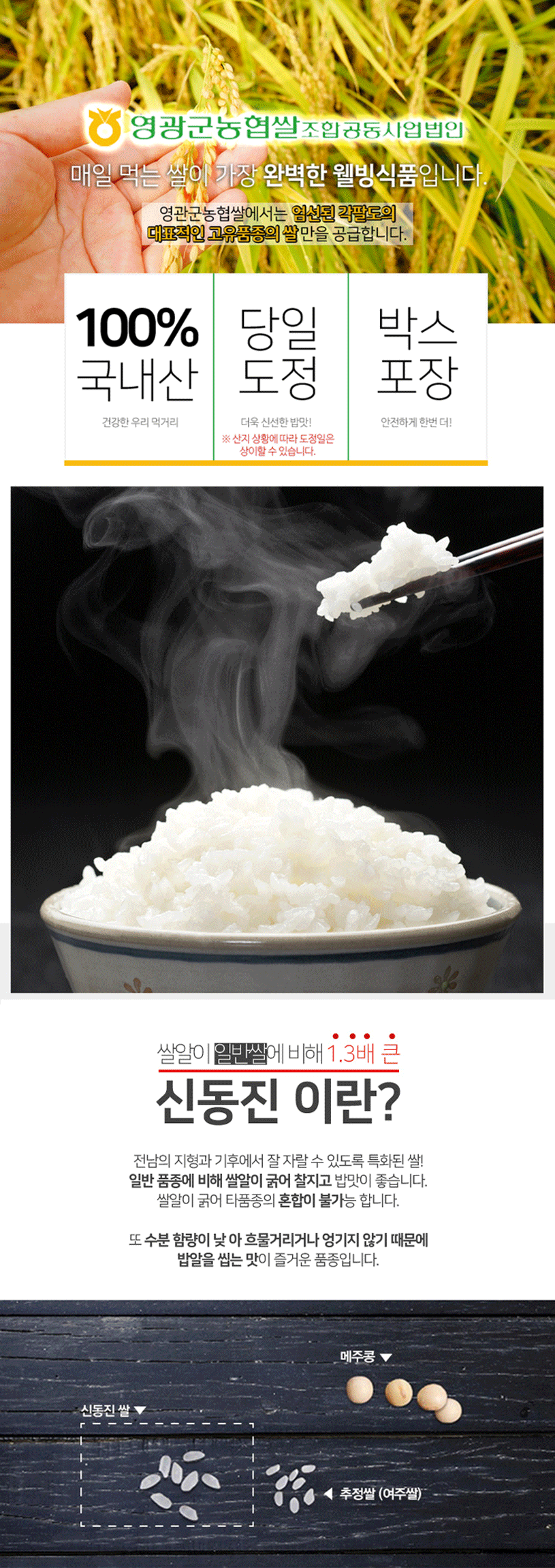 영광농협 신동진 쌀20kg
