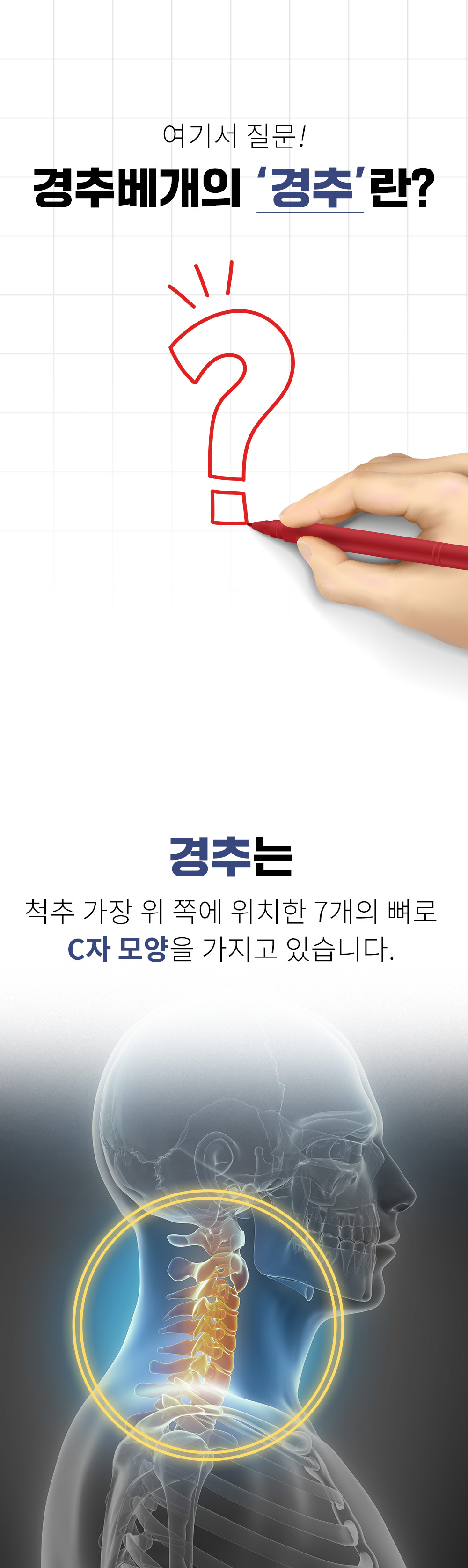 닥터바르미