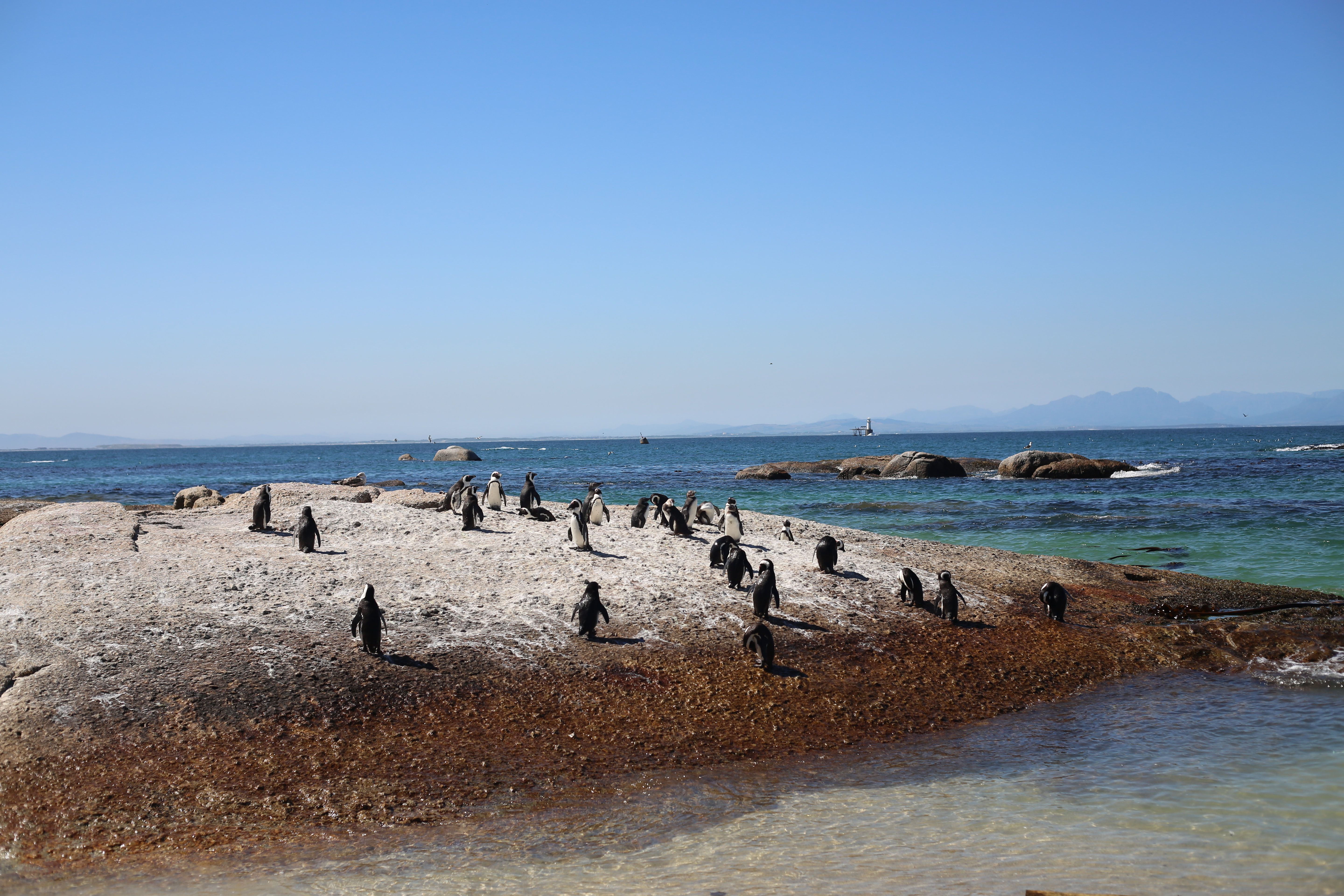 볼더스비치(Boulders Beach)