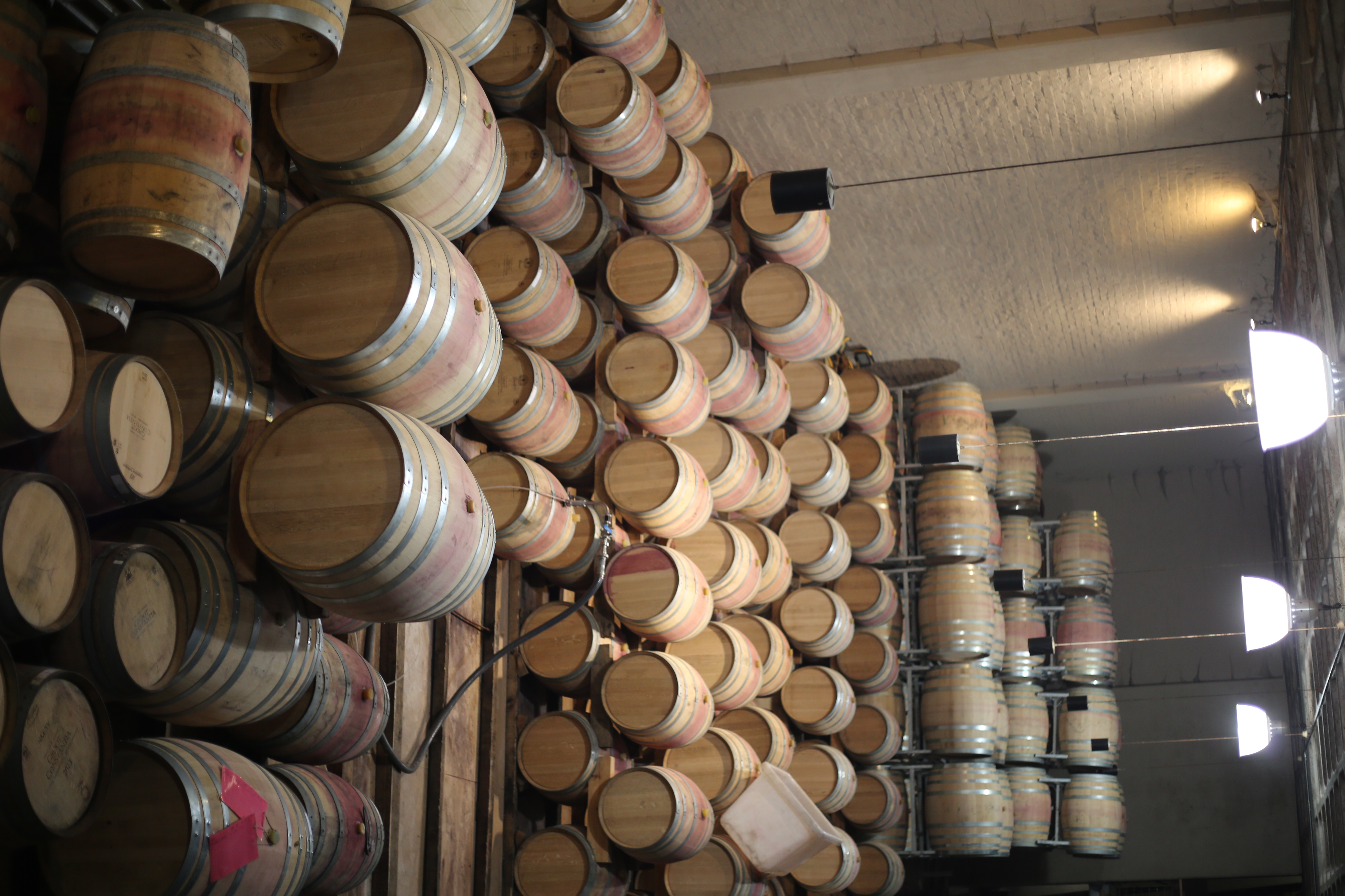와인 숙성 저장고(wine maturation cellar)