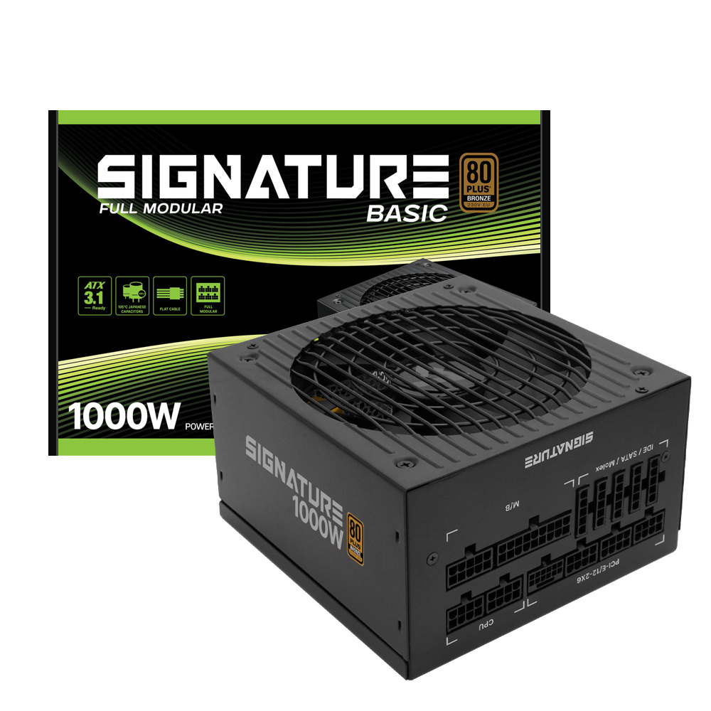 시그니처 1000W 브론즈 베이직