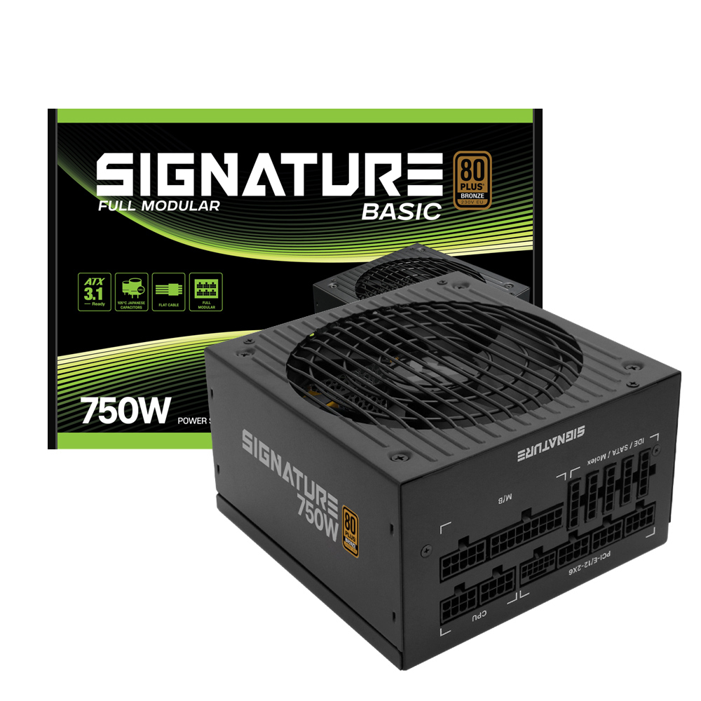 시그니처 750W 브론즈 베이직